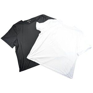 Cali and York 2X NWT Set of Hyde Park Short Sleeve Silky Crew Neck Tops Shells